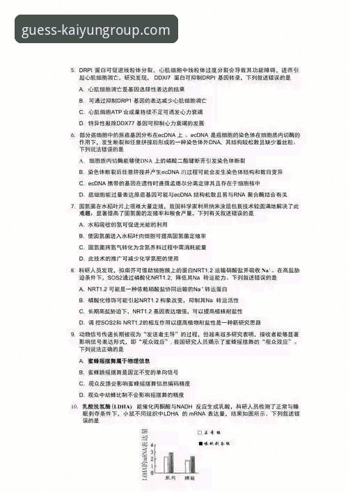 掌握KAIYUN正版竞猜的核心策略：2026新版实用指南